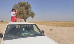 ضرورت احداث پایگاه امداد و نجات وداروخانه در مرکز شهرستان قلعه گنج