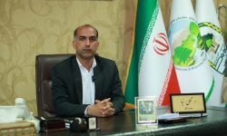 انجام مطالعات آبخیزداری درسطح بیش از ۹۸٠ هزارهکتار از حوزه های آبخیز جنوب کرمان