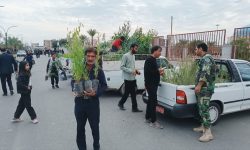 توزیع بیش از ۱۱هزارو ۷٠٠ اصله نهال رایگان در راهپیمایی ۲۲ بهمن ماه در جنوب کرمان