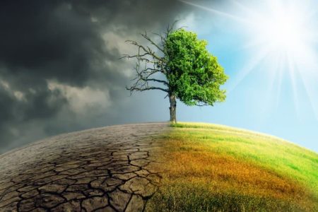یادداشت/ روز جهانی مبارزه با تغییرات اقلیمی؛ فراخوانی برای حفاظت از منابع طبیعی