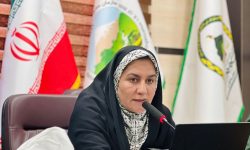 پشتیبانی قاطع فرماندار جیرفت از منابع طبیعی: وعده تخصیص بودجه ویژه در سال ۱۴۰۴