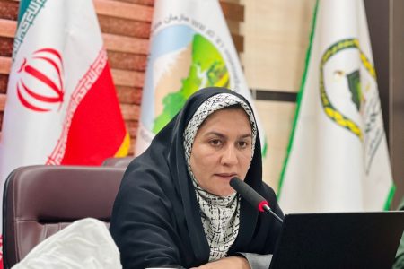 رونمایی سه سند ملی میراث فرهنگی در جیرفت