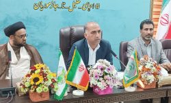 درخشش منابع طبیعی جنوب کرمان در اجرای پروژه‌های آبخیزداری؛ کسب رتبه برتر در سند ششم توسعه