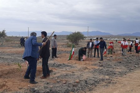 جان ایران با دستان سبز مردم زنده شد/ طبیعت دوستان با کاشت نهال به استقبال بهار رفتند