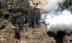 آتش سوزی مراتع دلفارد جیرفت ناشی از آتش زدن کاه و کلش مزارع