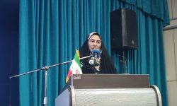 فرماندار جیرفت خواستار توجه ملی به راه های روستایی شد