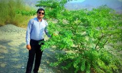 امانت زمین در دستان ما: فراخوانی برای نجات آینده