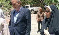  دستاوردهای سفر فرماندار جیرفت به ساردوئیه: گام‌های موثر برای جبران خسارات و توسعه زیرساخت‌ها