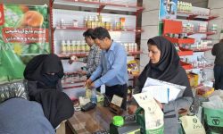 رزمایش سراسری پایش آفت‌کش‌ها در جیرفت: برخورد قاطع با متخلفان