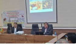 برگزاری کارگاه آموزشی مدیریت آفت سرخرطومی حنایی خرما در منوجان