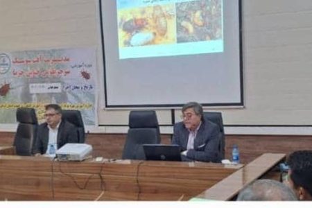 برگزاری کارگاه آموزشی مدیریت آفت سرخرطومی حنایی خرما در منوجان