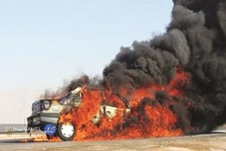 سوخت‌بری در جنوب کرمان؛ زخمی که هر روز عمیق‌تر می‌شود