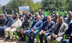 نخستین جشنواره گردو در ساردوئیه؛ فرصتی برای معرفی ظرفیت‌های گردشگری و کشاورزی جیرفت
