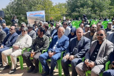 نخستین جشنواره گردو در ساردوئیه؛ فرصتی برای معرفی ظرفیت‌های گردشگری و کشاورزی جیرفت
