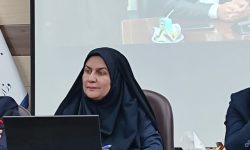 گام‌های عملی فرماندار جیرفت برای اشتغال‌ زایی و توانمندسازی جوانان