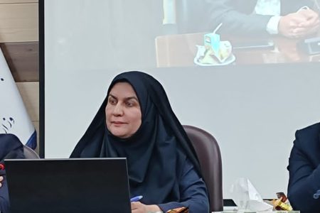 گام‌های عملی فرماندار جیرفت برای اشتغال‌ زایی و توانمندسازی جوانان