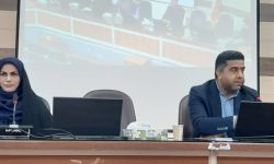 تأکید مرکز بهداشت جیرفت بر تشدید اقدامات پدافند زیستی برای مقابله با پشه آئدس