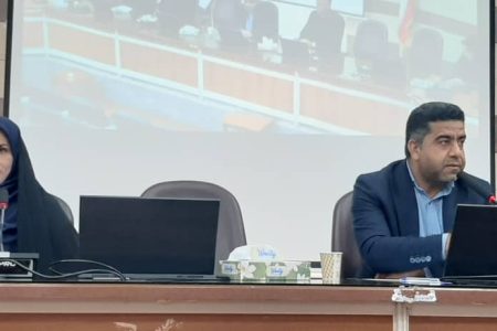 تأکید مرکز بهداشت جیرفت بر تشدید اقدامات پدافند زیستی برای مقابله با پشه آئدس