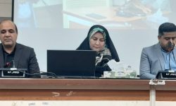 تأکید فرماندار جیرفت بر هم‌افزایی دستگاه‌ها برای برگزاری باشکوه، همایش بین‌المللی تمدن جیرفت