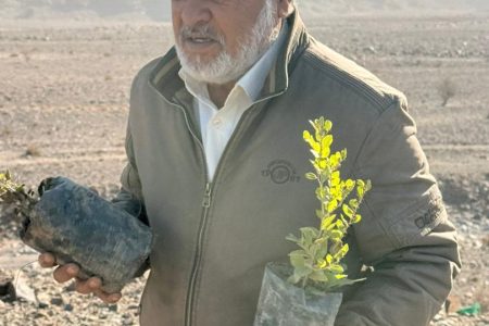 گزارش تصویری/پویش ملی «درختی برای پدر، سبزی برای ایران» در جیرفت