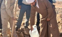 برگزاری پویش ملی «درختی برای پدر، سبزی برای ایران» با غرس ۳ هزار اصله نهال در جنوب کرمان