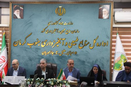 ۳۹۰ هزار هکتار کانون بحرانی فرسایش بادی در جنوب کرمان / اجرای گسترده طرح‌های بیابان‌زدایی با مشارکت مردم