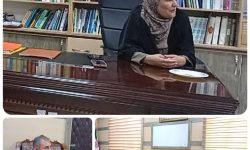 پارکینگ انتهای خیابان شهید رجایی (جنب پارک شهید دلیری) جیرفت جانمایی شد