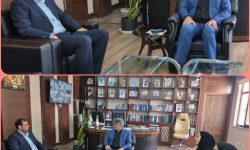 از همه ظرفیت های قانونی برای بالفعل شدن پتانسیل های جنوب استفاده خواهد شد
